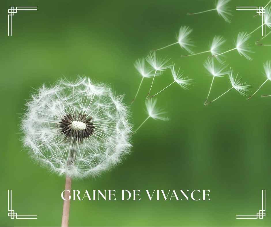 Graine de pissenlit duveteuse sur fond vert, avec autres graines en vol et texte « GRAINE DE VIVANCE ».
